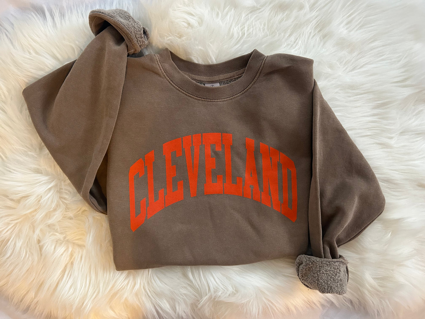 Cleveland Arch Vintage Adult Sweatshirt