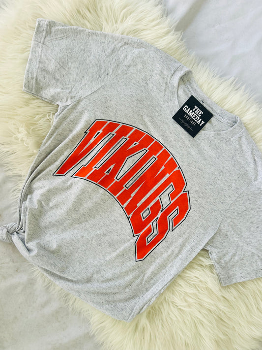 Vikings Triblend T-shirt