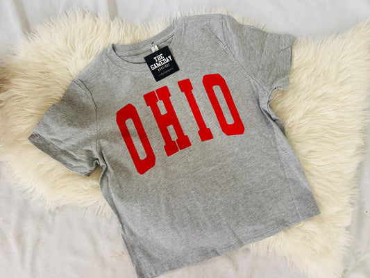 Ohio Boxy T-shirt Grey