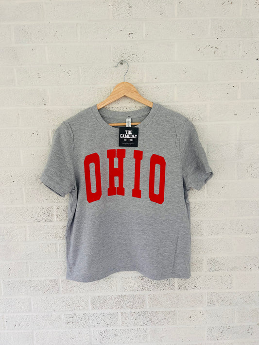 Ohio Boxy T-shirt Grey