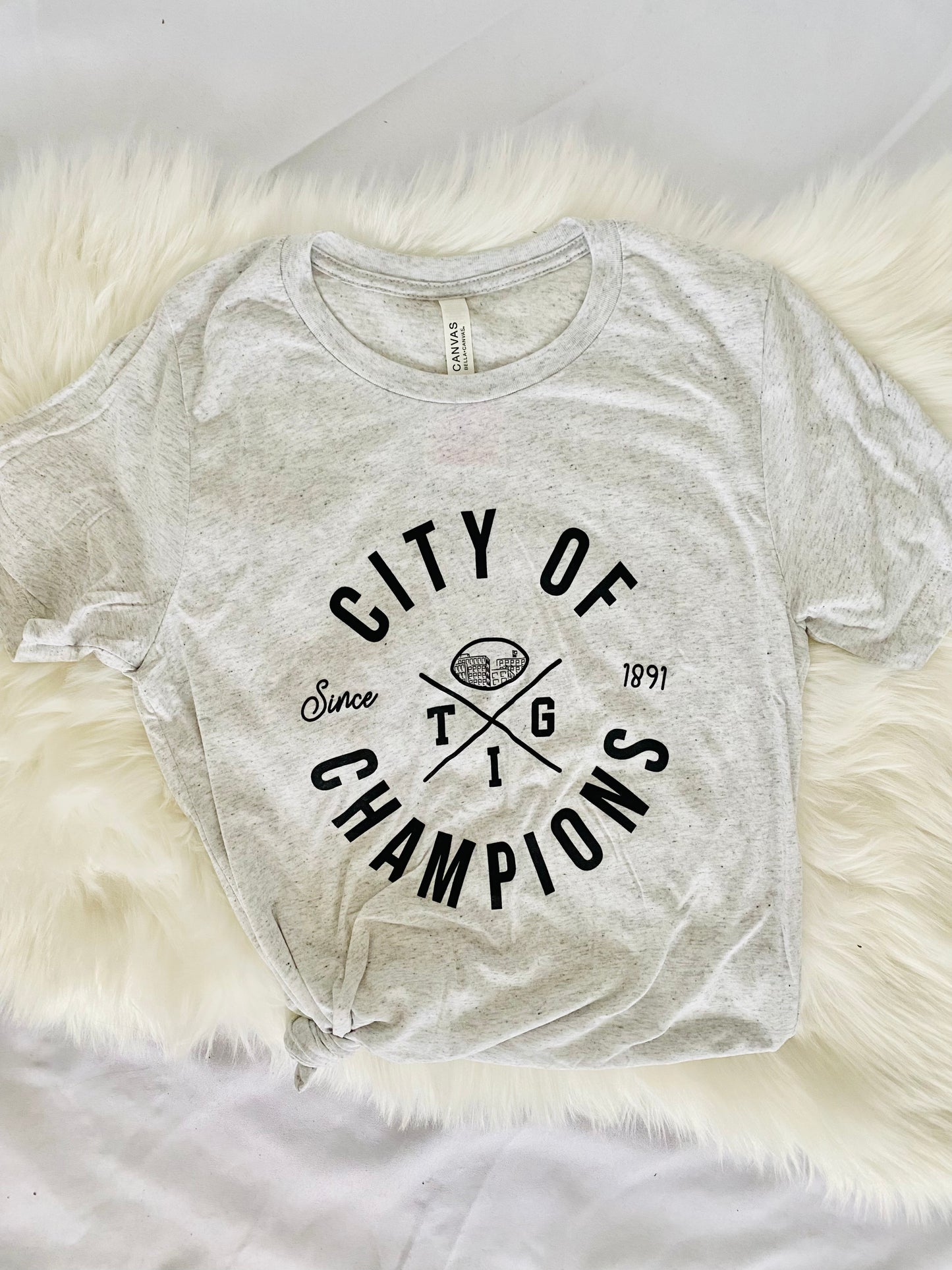 City of Champions White Fleck T-Shirt